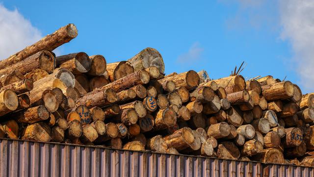 Ein Stapel Holzstämme lagern im Duisburger Hafen.