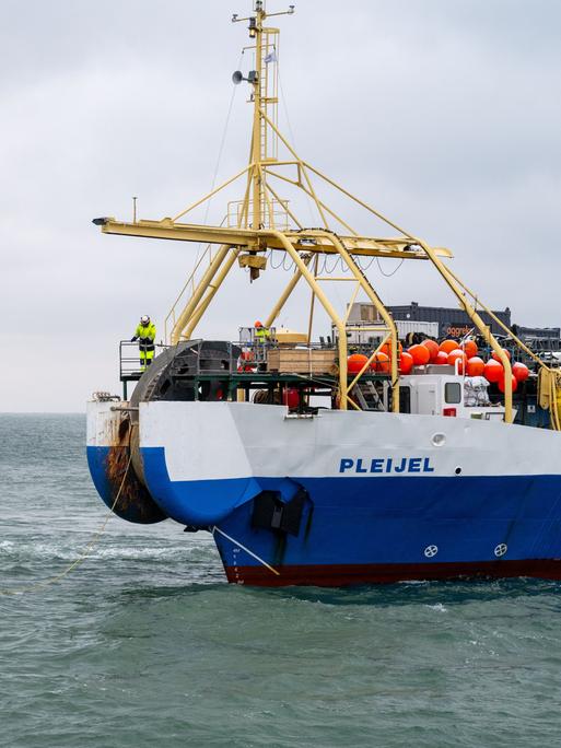 Das Kabelverlegeschiff „Pleijel“ liegt auf der Ostsee vor Rügen. Vor ihm ein bemanntes Schlauchboot - zwischen den Booten hängt ein gelbes Kabel, das Unterseekabel.