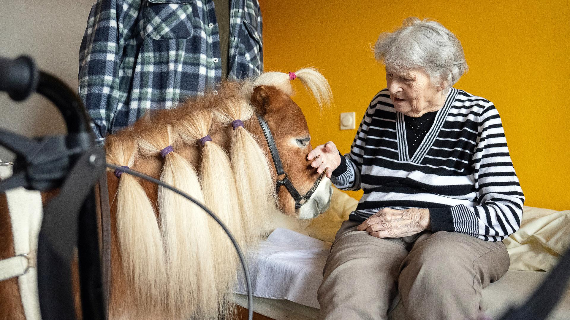 Eine Bewohnerin streichelt in einer Pflegeeinrichtung ein Pony. Der Besuch der Ponys bringt Abwechslung für die Bewohnerinnen und Bewohner.