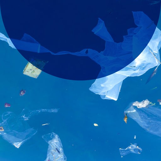 Umwelt und Verbraucher