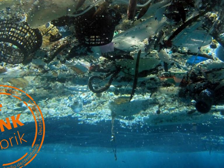 Plastikmüll im Pazifik in der Hanauma-Bucht vor Hawaii.