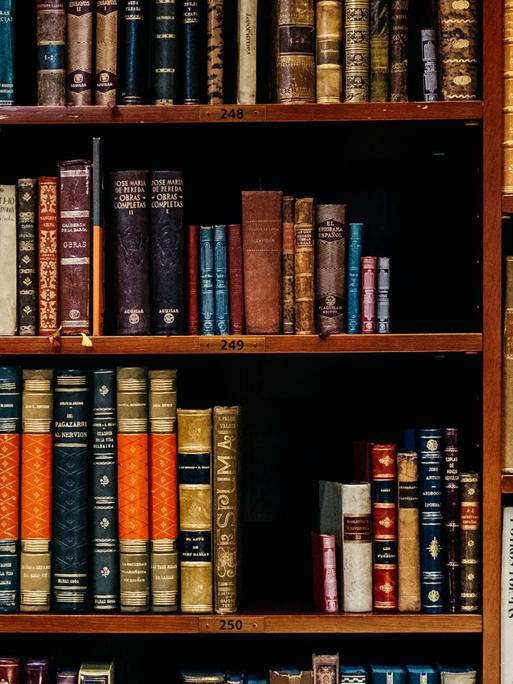Ein Bücherregal mit alten Büchern.