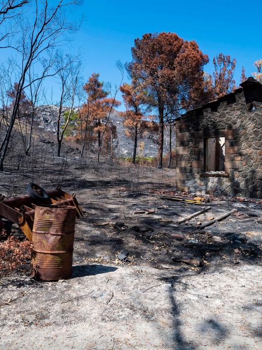 Verbanntes Land, Bäume, Sträucher und ein Bauernhaus auf der griechischen Insel Rhodos.